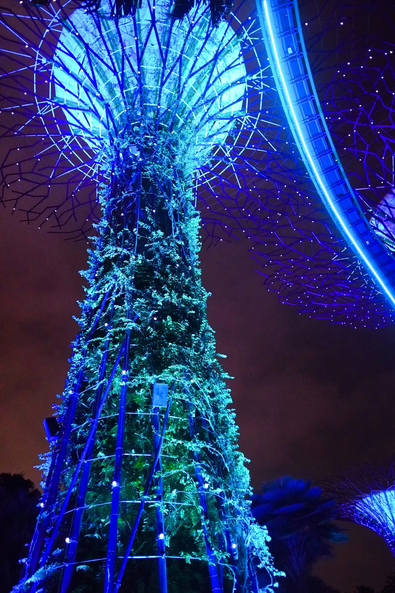 Gardens by the Bay at Night
